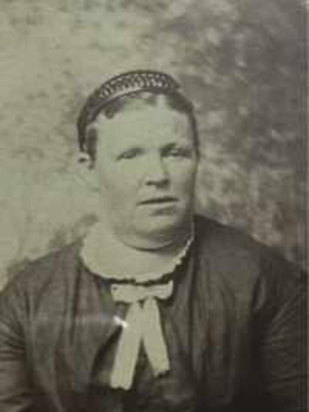 Amanda Melvina Fisk (1832 - 1888) Profile